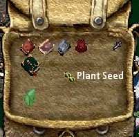Plant Seed.jpg
