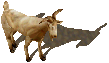 UO-Goat-kr.png