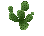 Image of A Decorative Bright Green Plant