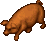 Image of Pet Pig