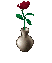 Image of Cupid's Rose Of Love