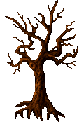 Image of An Oak Tree Rescued From The Forest Of Vesper