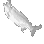Image of Pure White Fish "Formosa"