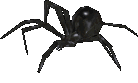 File:UO-Giant Black Widow-cc-animated.gif