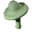 Image of Mushroom Of Saara