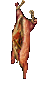 Image of Beef Carcass