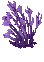 Image of A Decorative Bright Purple Plant