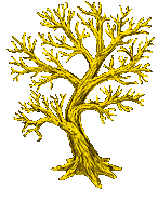 Image of The Tree Of Life