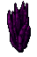 Image of A Decorative Rare Magenta Plant