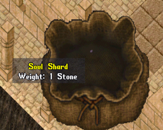 Image of Soul Shard
