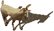 UO-Mountain Goat-kr.png