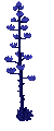 Image of A Decorative Bright Blue Plant