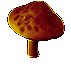 Image of A Mysterious Glowing Mushroom That Is Humming With Energy
