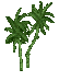 Image of A Decorative Plant