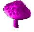 Image of Giant Zoogi Fungus