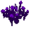 Image of A Decorative Purple Plant