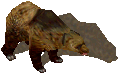 UO-Grizzly Bear-kr.png