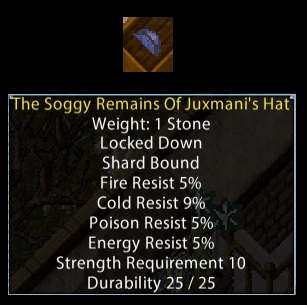 Image of The Soggy Remains Of Juxmani's Hat