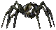 Image of Black Widow Spider