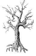 Image of Etiolated World Tree Sapling