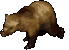 UO-Grizzly Bear-cc-animated.gif
