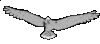 Image of Dove Of Peace