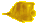 Image of Yellow Tang