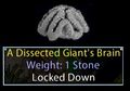A Dissected Giant's Brain.jpg