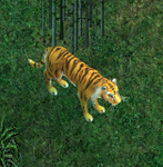 UO-Wild Tiger-ec.png